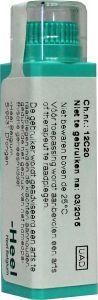 Homeoden Heel Magnesium phosphoricum 30CH (6 Gram)