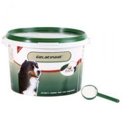 Primeval Gelatinaat hond (2 Kilogram)