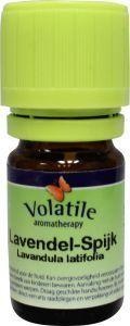 Volatile Lavendel spijk (10 Milliliter)