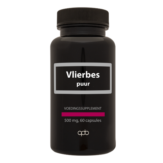 APB Holland Sambucus nigra / Vlierbes 500 mg (60 caps)