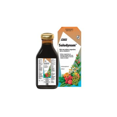 Salus Saludyanm Mineral-Drink | 250 ml