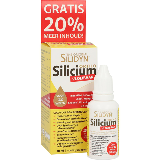 Silidyn Silicium