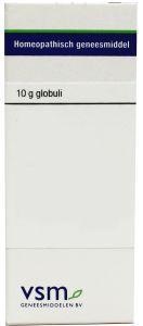 VSM Magnesium carbonicum D12 (10 Gram)