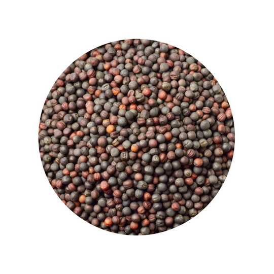 Mosterdzaad Heel Zwart Brassica Nigra Biologisch 1 kg