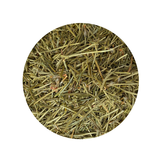 Dennennaalden Thee Mix Abies/ Sylvestris 1 kg