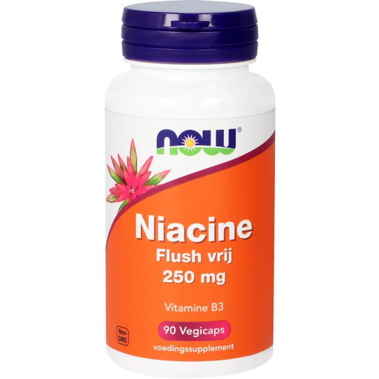 NOW Foods Vitamine B3 Niacine Flush vrij 250 mg