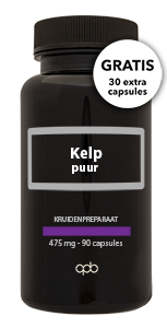 Apb Holland Kelp 475 mcg jodium puur