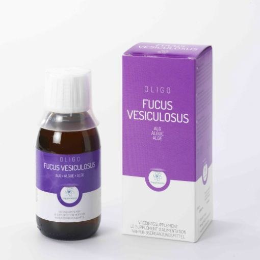 Oligoplant Fucus (120 Milliliter)