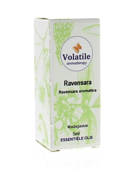Volatile Ravensara (5 Milliliter)