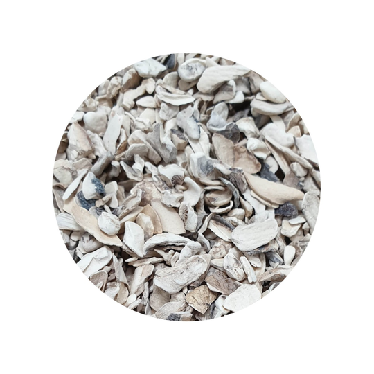 Champignon Granulaat 3 6 mm Biologisch 1 kg