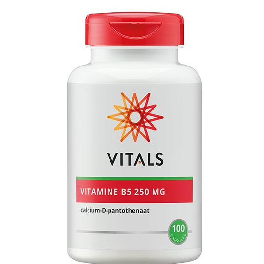 Vitals Vitamine B5 250 mg (100 Capsules)