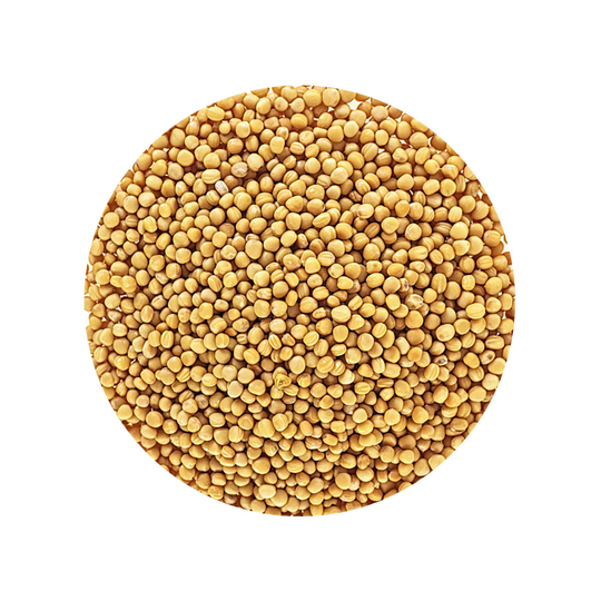 Mosterdzaad Heel Geel Sinapis Alba kiemarm Biologisch 1 kg