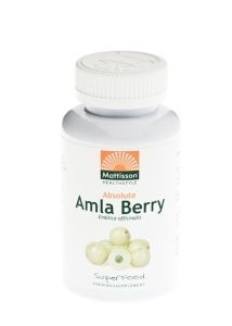 Absolute Amla Berry Extract 500 mg