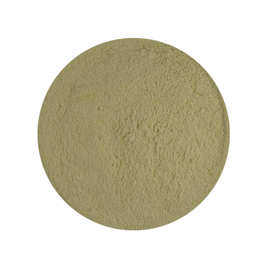 Uien Poeder Biologisch 1 kg