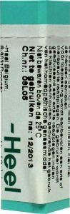 Homeoden Heel Magnesium phosphoricum 30K (1 Gram)