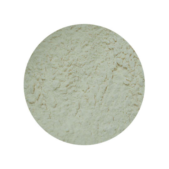 Appel Poeder Gevriesdroogd Biologisch 1 kg