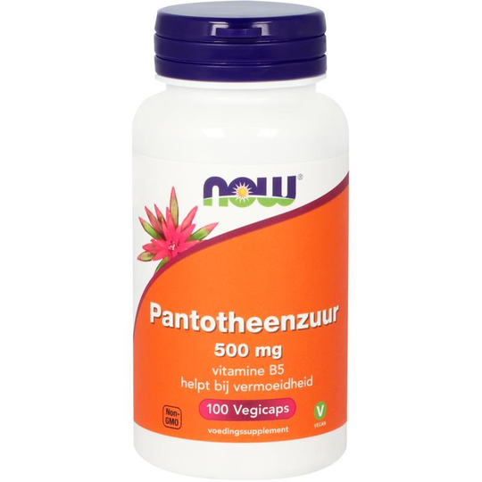 NOW Foods Pantotheenzuur 500 mg (vitamine B5)