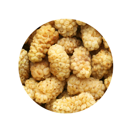 Moerbeibessen Wit gedroogd Biologisch 1 kg
