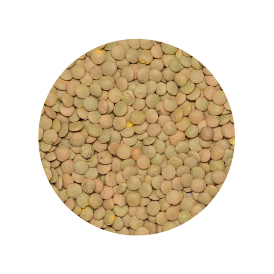 Linzen Groen Laird Biologisch 1 kg