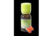 Volatile Gember (25 Milliliter)