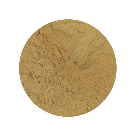 Cordyceps Paddenstoel Poeder Biologisch 1 kg