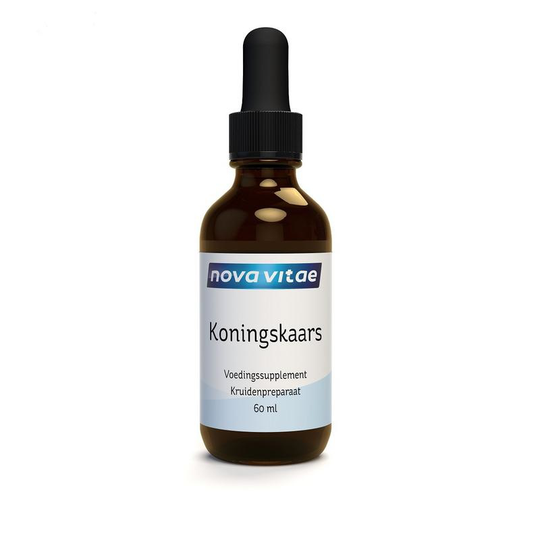 Nova Vitae Koningskaars mullein extract alcoholvrij (60 Milliliter)