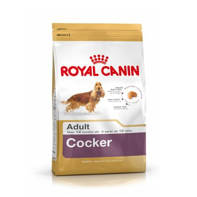 Royal Canin Breed Health Nutrition Cocker | 12 kg